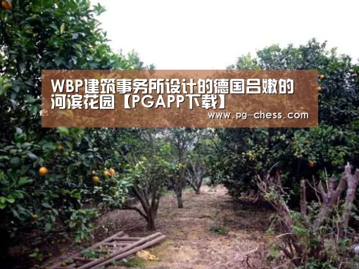 PG麻将娱乐